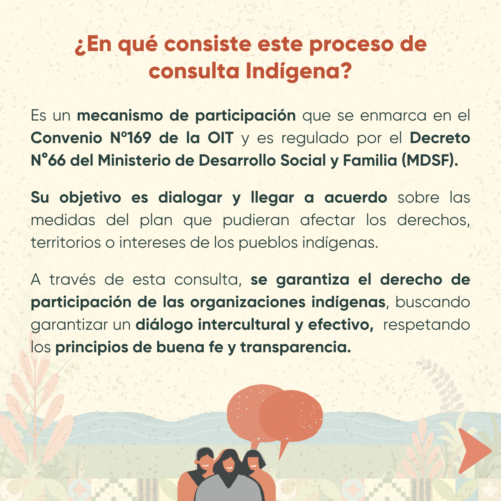 Consulta Indígena_INFORMACION_RRSS 2